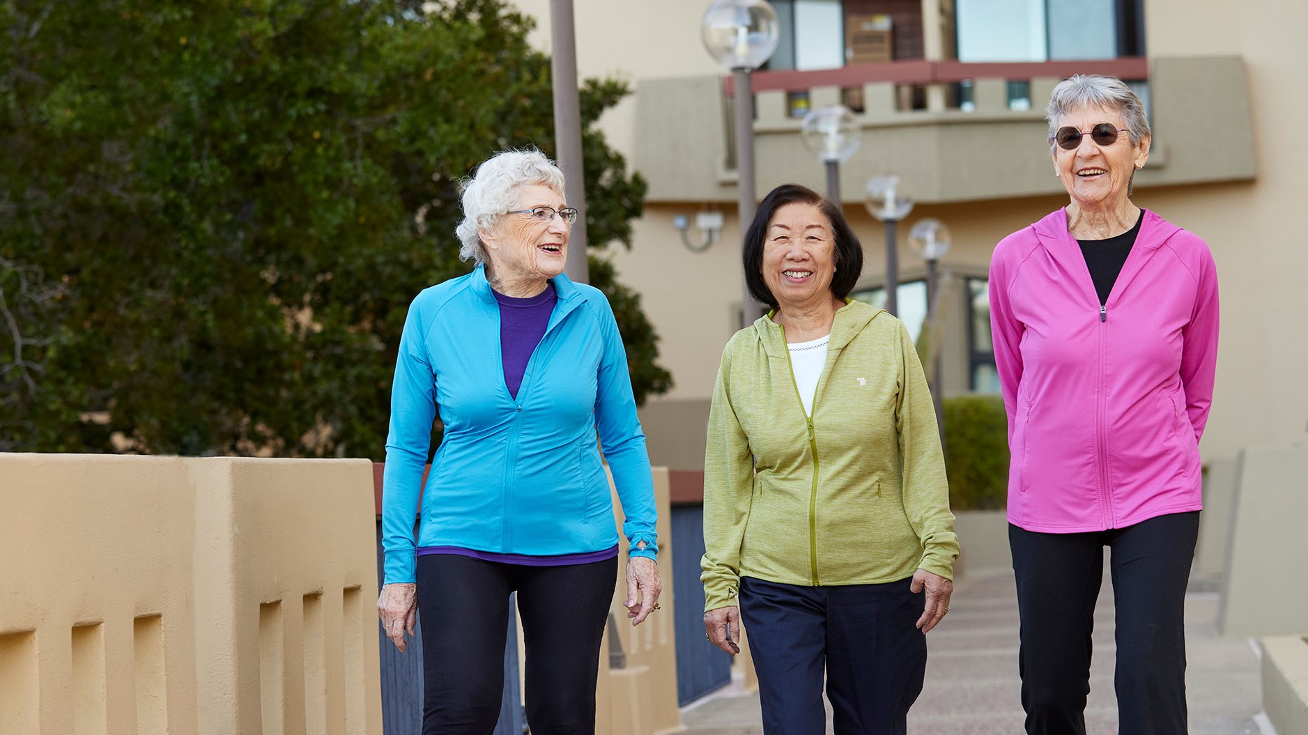 Three Ladies Walking - The Tamalpais Three Ladies Walking - The Tamalpais